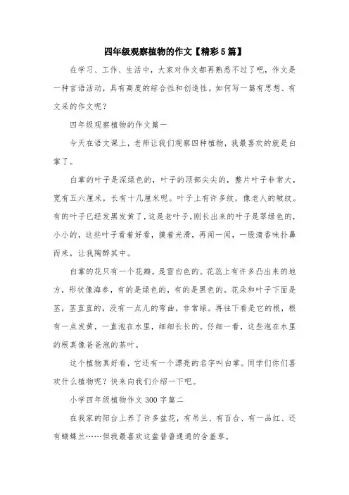 四年级观察植物的作文【精彩5篇】