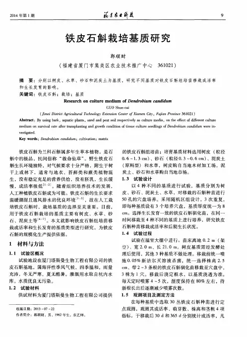 铁皮石斛栽培基质研究
