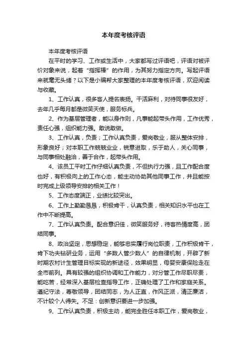 本年度考核评语
