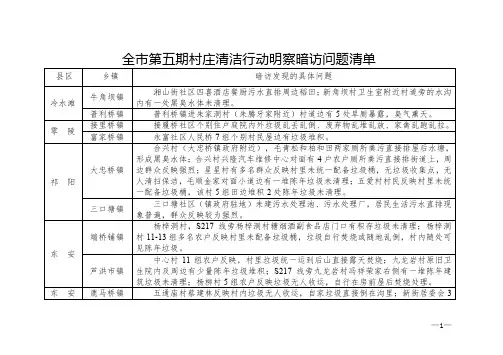 全市第五期村庄清洁行动明察暗访问题清单【模板】