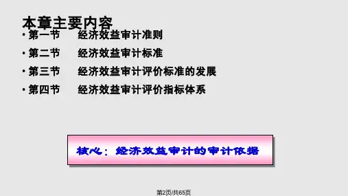 经济效益审计经济效益审计准则和标准