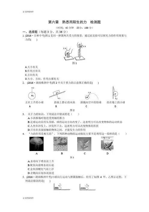 沪科版八年级物理试卷第六章  熟悉而陌生的力  检测题