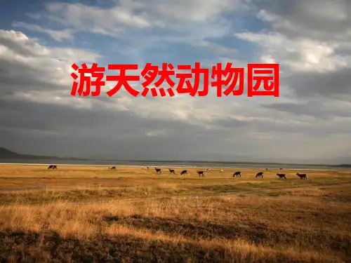 《游天然动物园》精美版课件