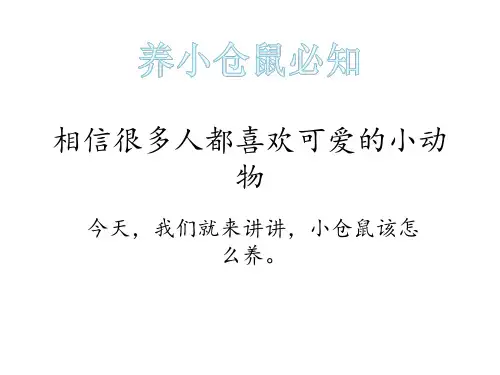 养小仓鼠须知事件