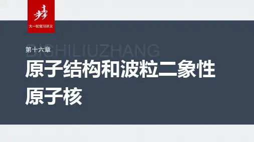 高考物理一轮复习原子结构  原子核