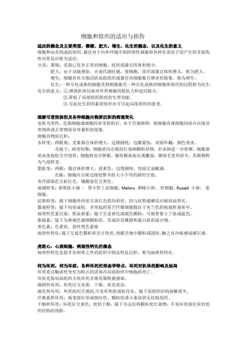 病理学细胞和组织的适应与损伤