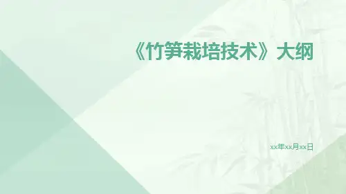 竹笋栽培技术