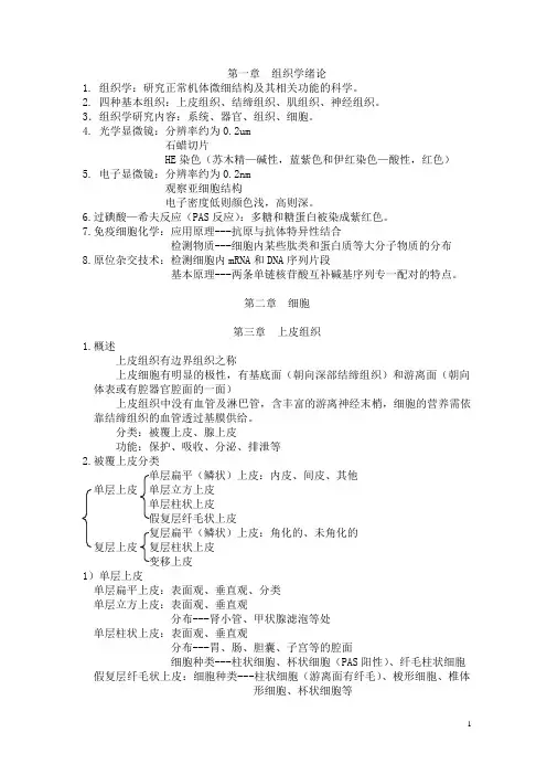 组胚笔记