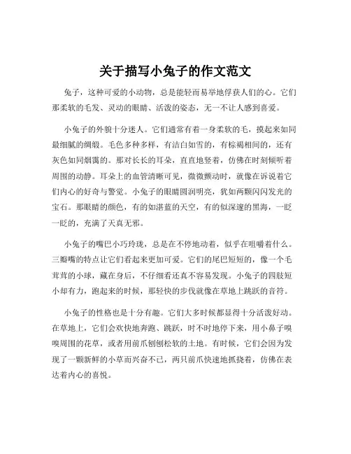 关于描写小兔子的作文范文