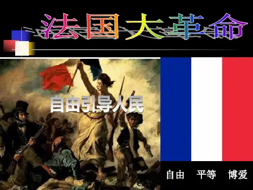 新人教版九年级历史上册《六单元 资本主义制度的初步确立  第19课 法国大革命和拿破仑帝国》研讨课课件_13