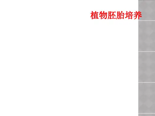植物胚胎培养