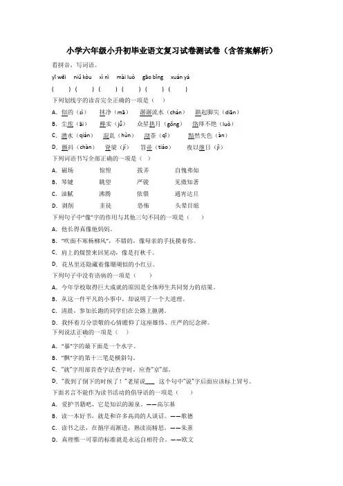 小学六年级小升初毕业语文复习试卷测试卷(含答案解析)