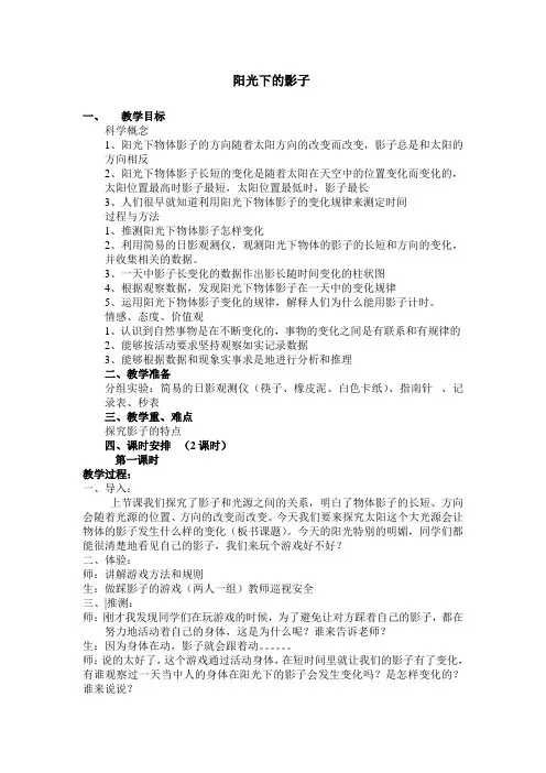 阳光下的影子.doc教案