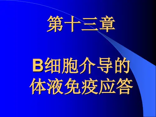 第十三章  B细胞介导的体液免疫应答