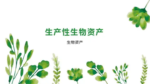 生产性生物资产