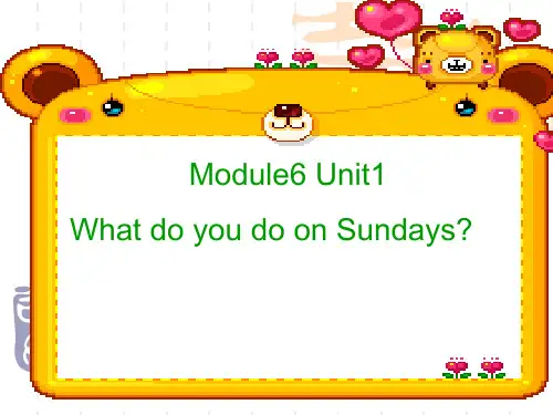 WhatdoyoudoonSundays精品PPT课件