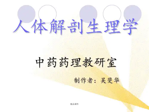 解剖生理学第6章循环系统