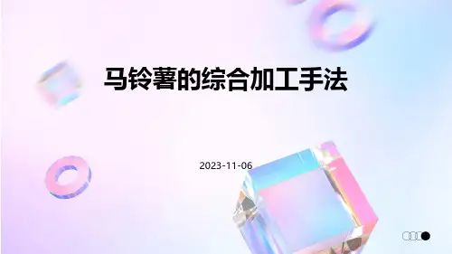 马铃薯的综合加工手法