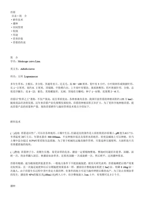 苜蓿知识