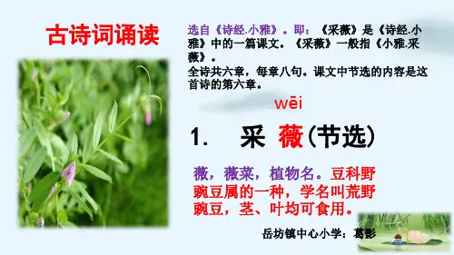 六年级下册古诗词诵读采薇节选PPT人教部编版