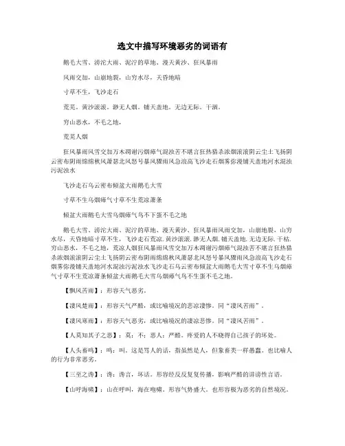 选文中描写环境恶劣的词语有