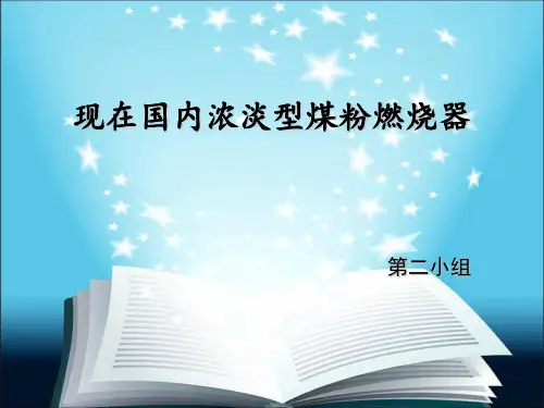 现在国内浓淡型煤粉燃烧器
