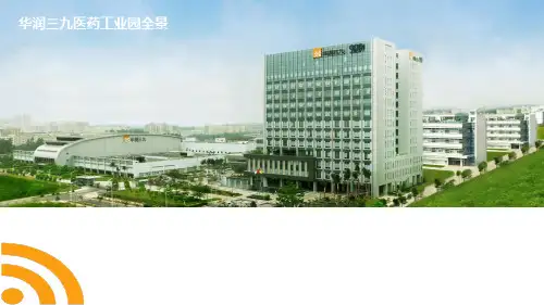 (四)华润三九皮肤药整合营销策略(KA峰会)精品PPT课件