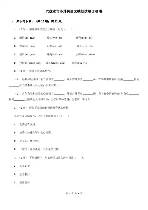 六盘水市小升初语文模拟试卷(7)B卷