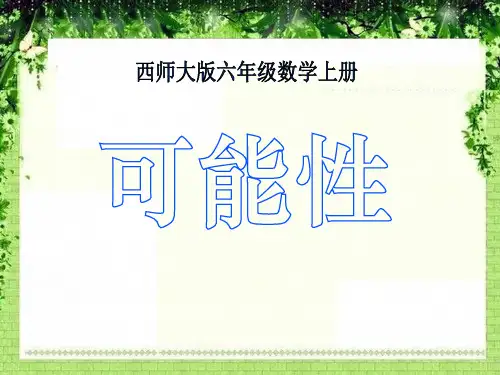 《可能性》课件PPT(1)