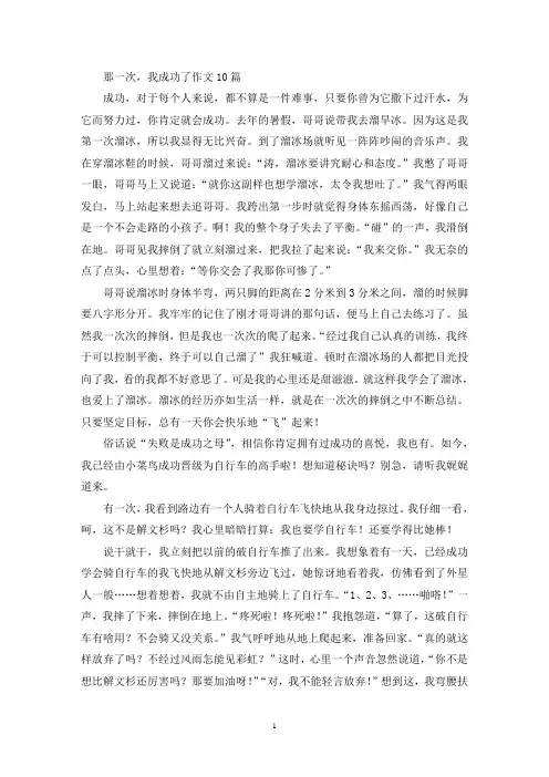 那一次,我成功了作文10篇(精选)