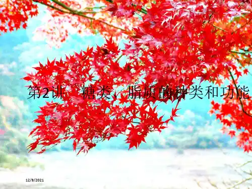 高考生物一轮复习2糖类脂质的种类和功能课件必修1高三必修1生物课件