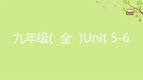 2018年中考英语复习 第一部分 教材知识点梳理九全 Unit 5 6人教版
