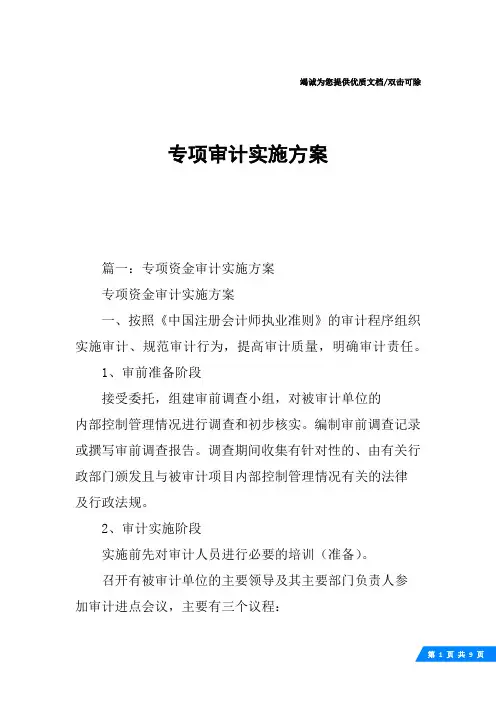 专项审计实施方案