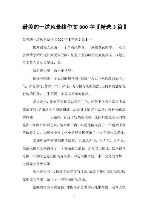 最美的一道风景线作文800字【3篇】