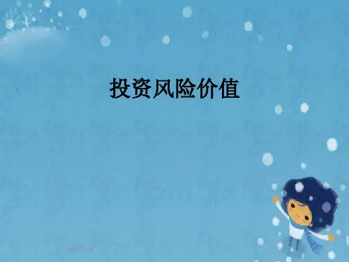 投资风险价值