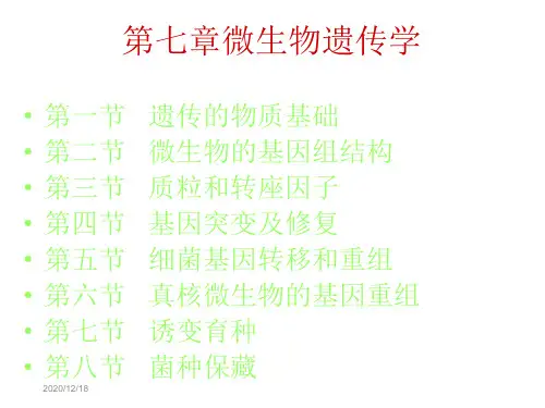 【生物课件】第七章微生物遗传