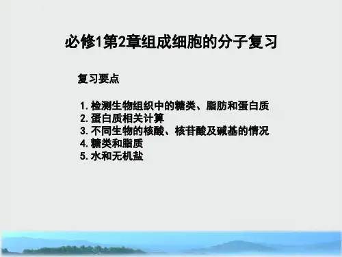 高中生物第2章组成细胞的分子复习课件新人教版必修1