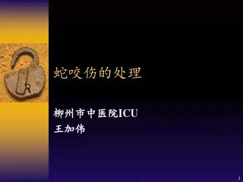 蛇咬伤1PPT课件
