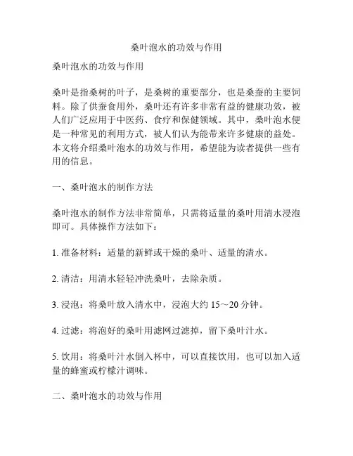 桑叶泡水的功效与作用