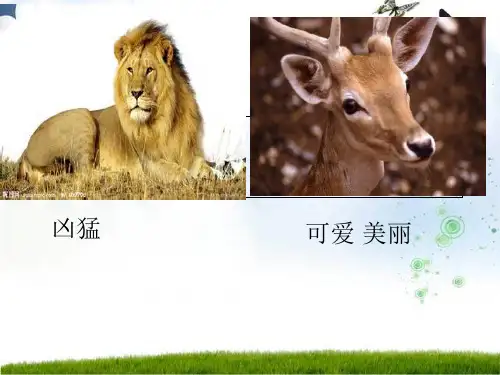 28《狮子和鹿》ppt课件32755