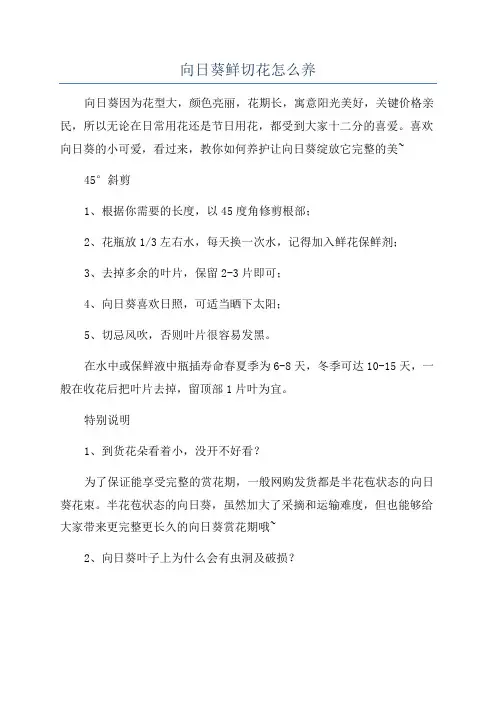 向日葵鲜切花怎么养