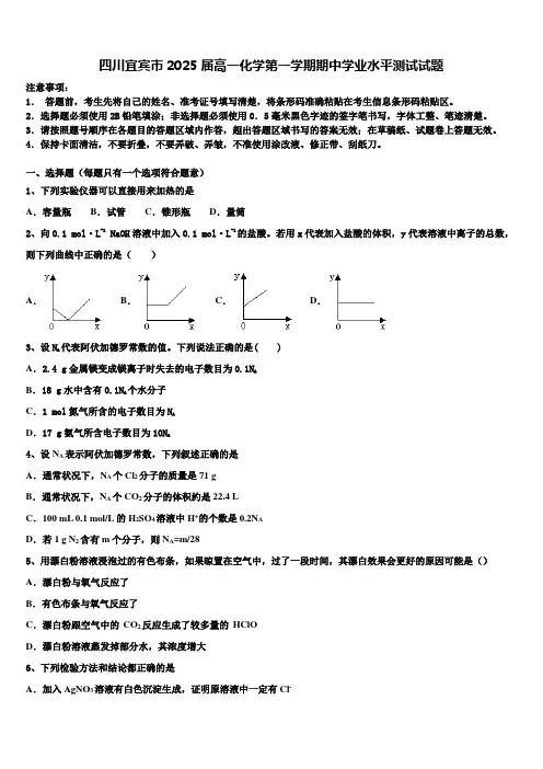 四川宜宾市2025届高一化学第一学期期中学业水平测试试题含解析
