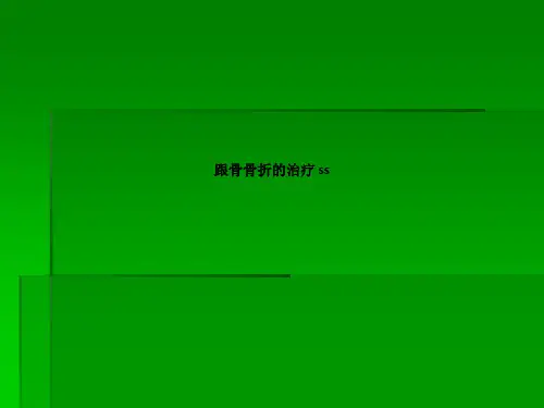 跟骨骨折的治疗s