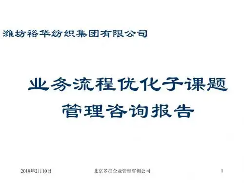 业务流程优化子课题管理咨询报告s