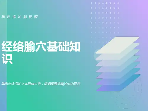 经络腧穴基础知识