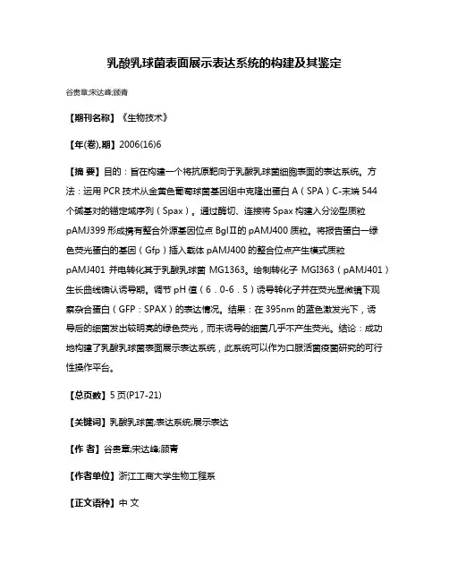 乳酸乳球菌表面展示表达系统的构建及其鉴定