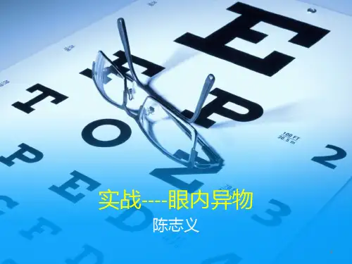 眼内异物PPT课件