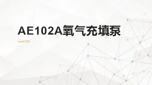 AE102A氧气充填泵