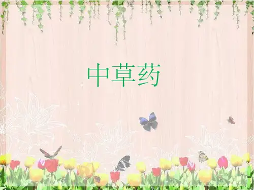 中草药科普ppt课件