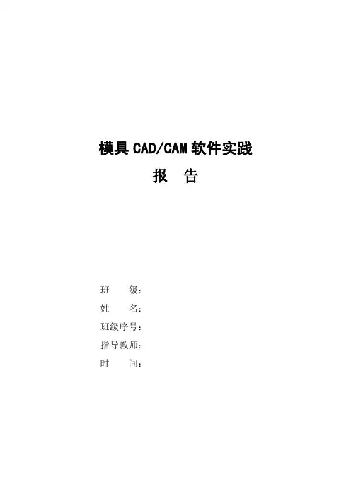 CAD CAE软件实践报告